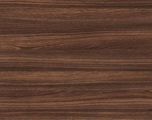 ModernWood Texture