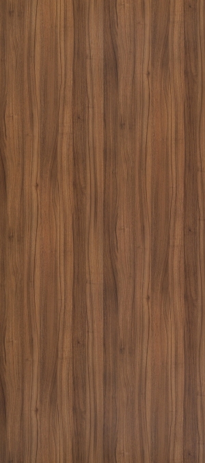 ModernWood Texture