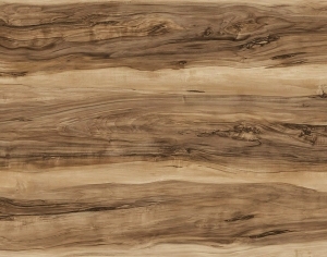 ModernWood Texture