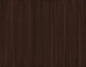 ModernWood Texture