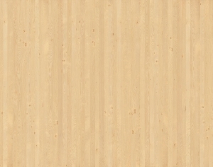 ModernWood Texture