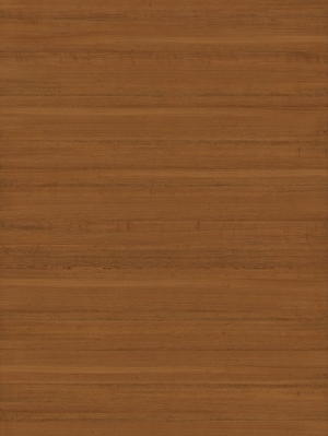 ModernWood Texture