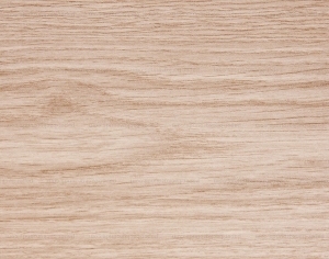 ModernWood Texture