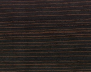 ModernWood Texture