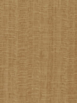 ModernWood Texture