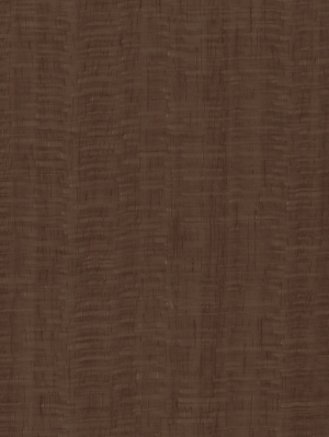 ModernWood Texture