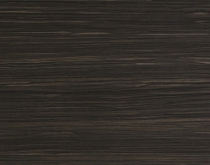 ModernWood Texture