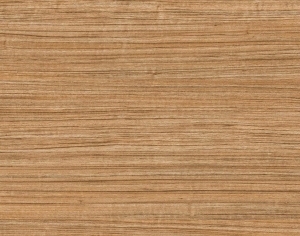 ModernWood Texture