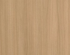 ModernWood Texture