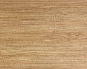 ModernWood Texture