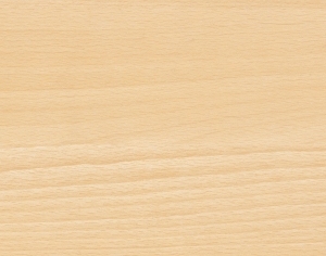 ModernWood Texture