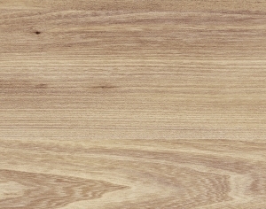 ModernWood Texture