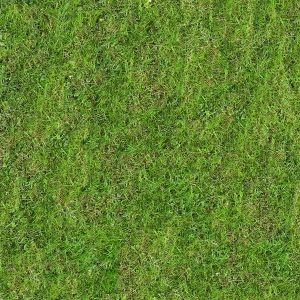 草皮地面贴图-ID:991220006