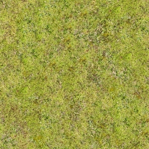 地面绿化草皮地面贴图-ID:5817306