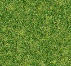 地面绿化草皮地面贴图-ID:5817311