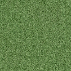 地面绿化草皮地面贴图-ID:5817312