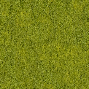地面绿化草皮地面贴图-ID:5817323