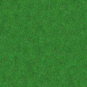 地面绿化草皮地面贴图-ID:5817327