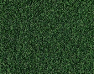 地面绿化草皮地面贴图-ID:5817330