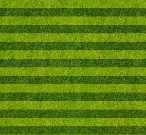 ModernGrass