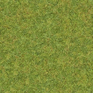 地面绿化草皮地面贴图-ID:5817335