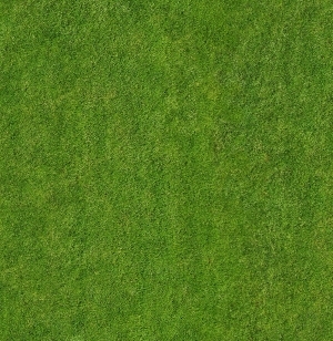 地面绿化草皮地面贴图-ID:5817340