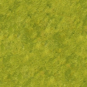 地面绿化草皮地面贴图-ID:5817353