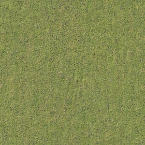 地面绿化草皮地面贴图-ID:5817369