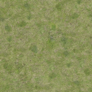 地面绿化草皮地面贴图-ID:5817378