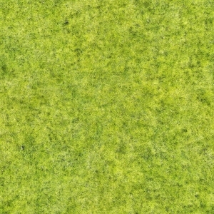 地面绿化草皮地面贴图-ID:5817382