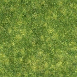 地面绿化草皮地面贴图-ID:5817383
