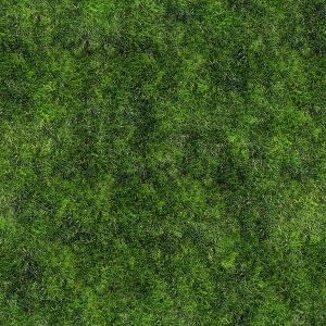 地面绿化草皮地面贴图-ID:5817385