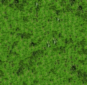 地面绿化草皮地面贴图-ID:5817386