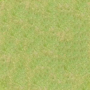 地面绿化草皮地面贴图-ID:5817403