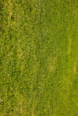 草皮地面贴图-ID:151582002