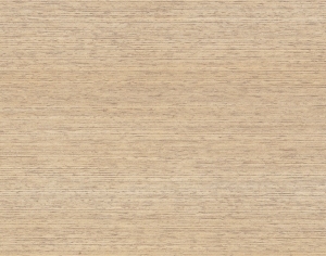 ModernWood Texture