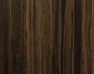 ModernWood Texture