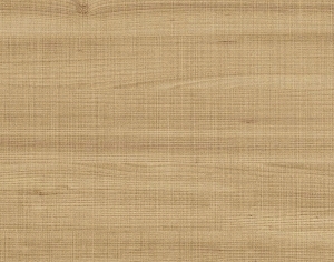 ModernWood Texture