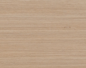 ModernWood Texture