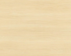 ModernWood Texture