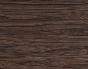 ModernWood Texture