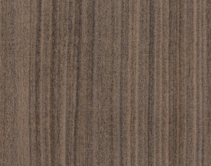 ModernWood Texture