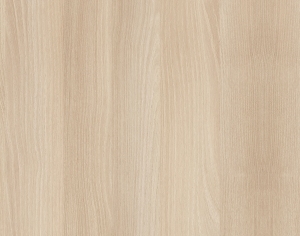 ModernWood Texture