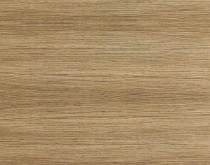 ModernWood Texture