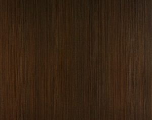 ModernWood Texture