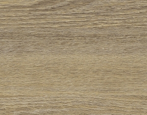 ModernWood Texture