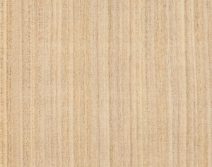 ModernWood Texture