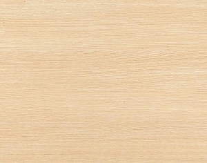 ModernWood Texture