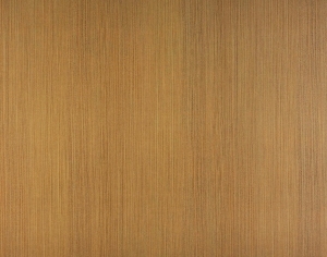 ModernWood Texture