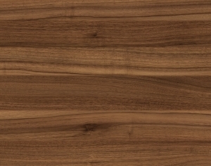 ModernWood Texture